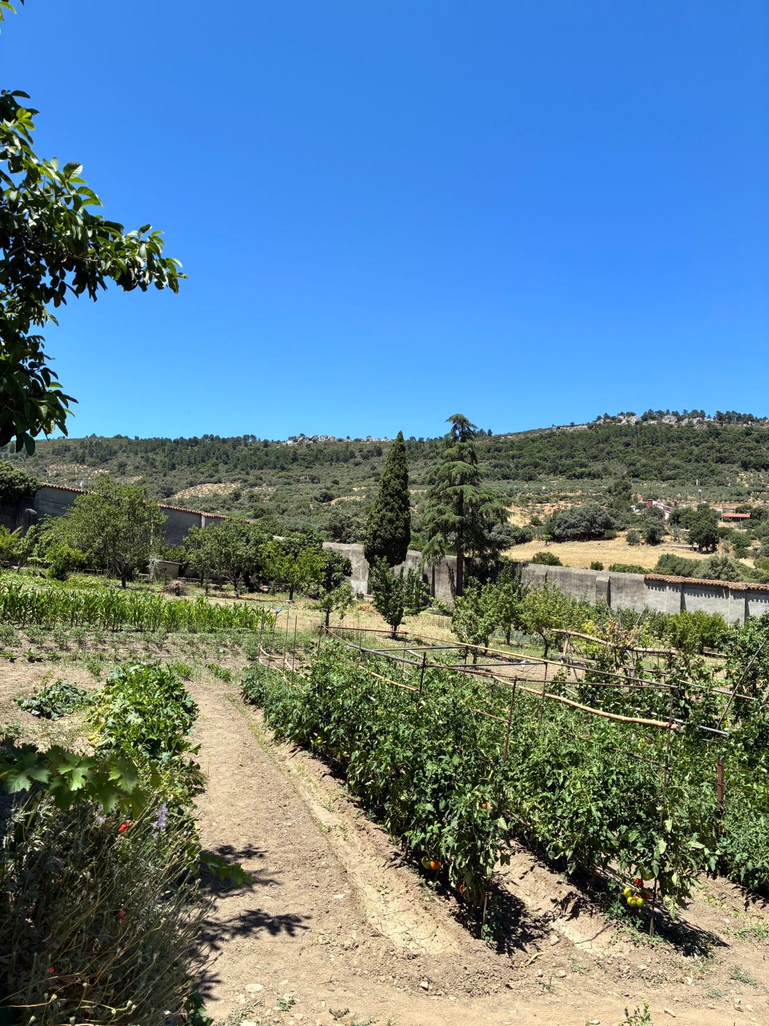 Paisaje natural del Parque Nacional de Monfragüe en Extremadura