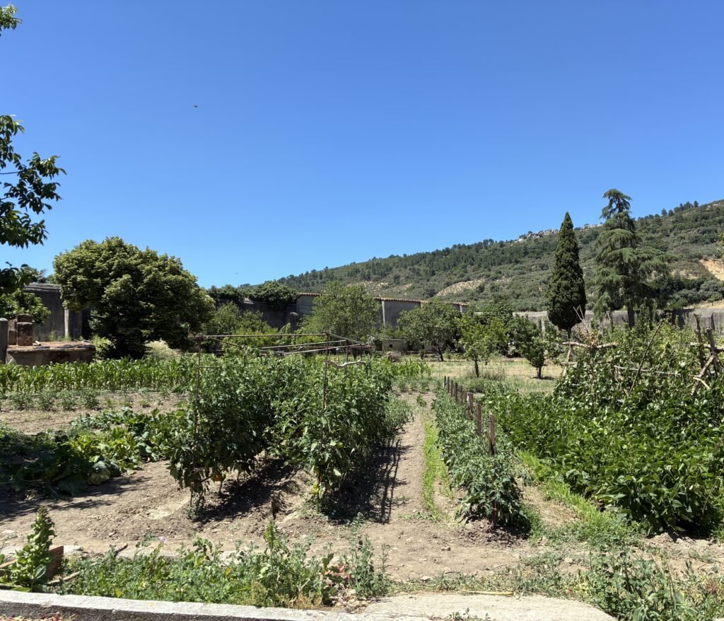 Paisaje de Monfragüe